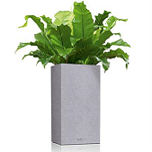 Lechuza Canto Stone sloup